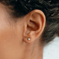 14k Yellow Gold Diamond Stud Earrings 3mm - Aria